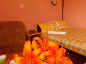 Apartments Vukomanovic