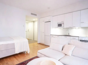 Wonderful studio apartment