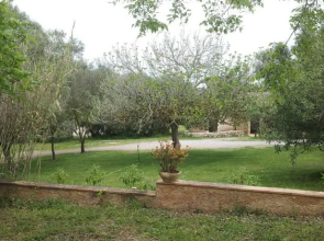 Las Casas De Carlos