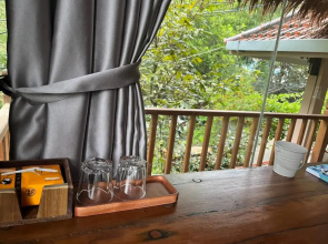 Cat Homestay