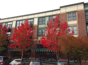 Orenco Lofts