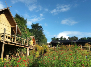 Baan AingDoi Homestay