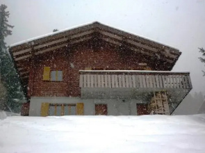 Chalet Primeli