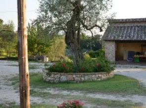Agriturismo Podere dell' Olmo