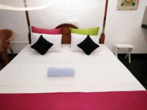 Wimal Wood Stock Surf House