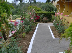 Aphrodite Studios & Pool