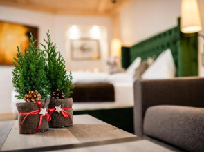 Alpine Boutique Villa Gabriela