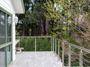 Olive Grove