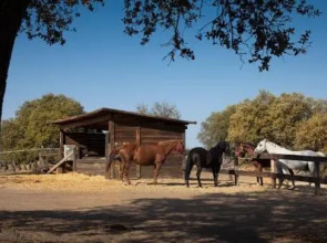 Lantero Horse & Lodge