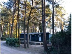 Chalet Escape in Antwerp