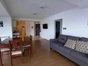 Entire apartment in Patagonia rebate in physical dollar