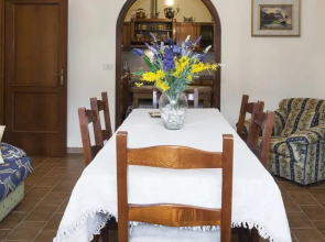 Gli agrumi del nonno
