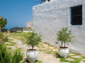 Sifnos Roots