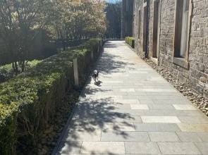 Spacious one bed Quartermile Apartment With Breathtaking Park Views - V Central