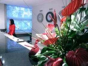 Allegroitalia Espresso Darsena