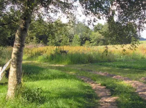 B&B 't Woudsebos
