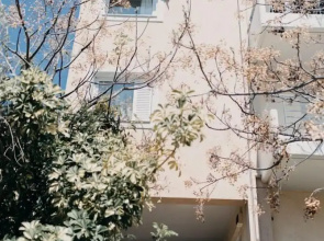 Best House Nirvana Patra