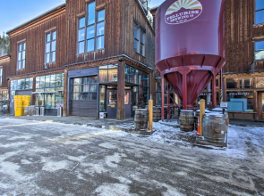 Telluride Studio in Downtown - Walk to Gondola!