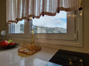 ''Prasini Folia'' Apartments - Studio ''SOHORA''