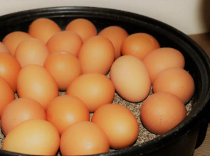 Select Hotel Silence Garden Köln