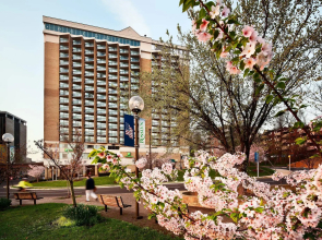 Hilton Arlington Rosslyn The Key