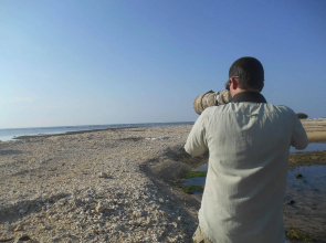 The Local Menjangan