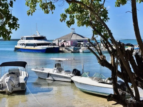 Beehive Harbour Island. Luxury Dream World On The Bay. Private D 5 Bedroom Home