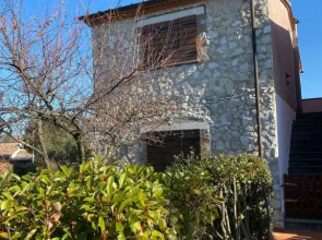 Bosco Verde