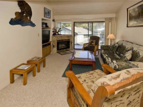 St Anton Condos #46 2 Bedrooms 2 Bathrooms Home