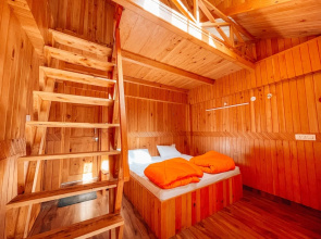 Madpackers Jibhi - Hostel