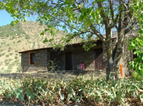 Terra d'Alva