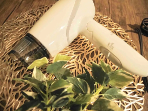 【SB】Shinei BLD 201