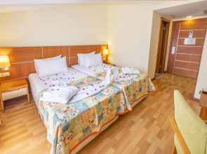 Viking Park Hotel