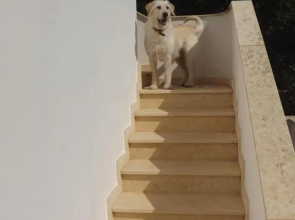 Villetta Roberto 1