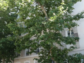 B&B Le Jardin De Tesse