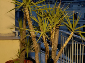 Hotel Solomou Athens