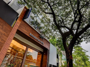 Capital O 42226 Pine Tree Signature