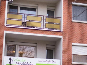Vndor Vendghz