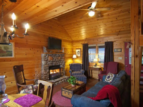 Mountain Springs Cabins