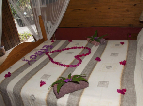 WE Bushcamp & Horse Safaris