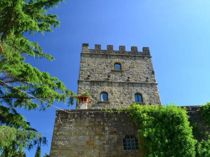 Lovely Estate not far From Florence With Olives Trees