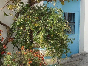 Τraditional home Fabrica , south Crete , Agios Pavlos