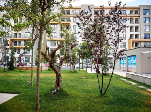 Seaside Mamaia