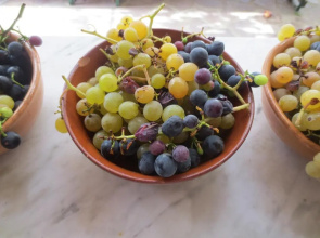 Casa Rondini, organic farm