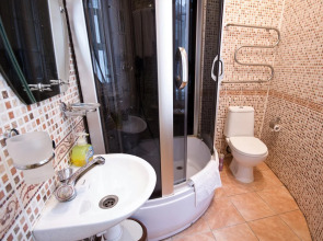 Лебедушка на Кузнечном