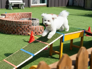 Gapyeong Two Dog Place Pension