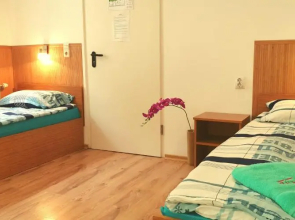 Pension Haus Baron 1 Neckarau