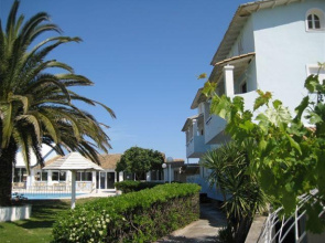 Palm Grove