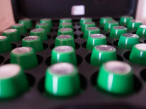 Appartamento Tramontana