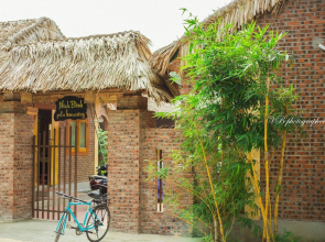 Ninh Binh Palm Homestay